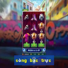 sòng bạc trực tiếp maxvin