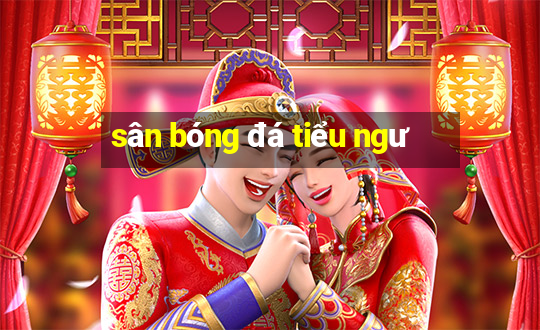 sân bóng đá tiểu ngư