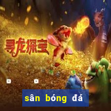 sân bóng đá tiểu ngư