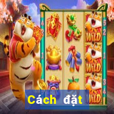 Cách đặt cược XSVL ngày 24