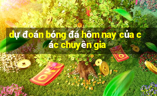 dự đoán bóng đá hôm nay của các chuyên gia