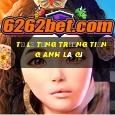 tỷ lệ tăng trưởng tiếng anh là gì