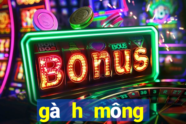 gà h mông thuần chủng