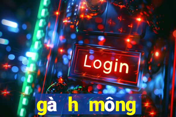 gà h mông thuần chủng