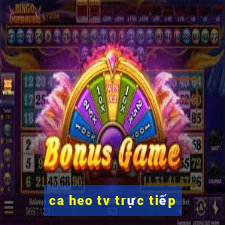 ca heo tv trực tiếp