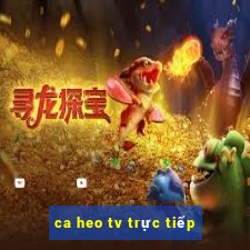 ca heo tv trực tiếp