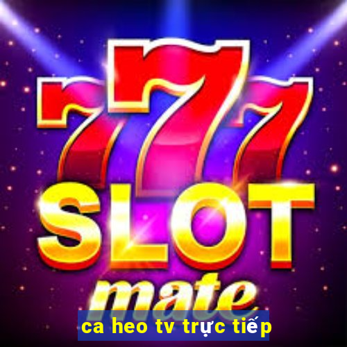 ca heo tv trực tiếp