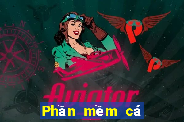 Phần mềm cá cược bóng rổ