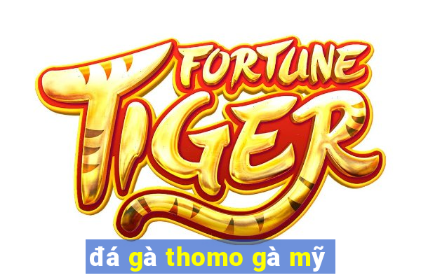 đá gà thomo gà mỹ