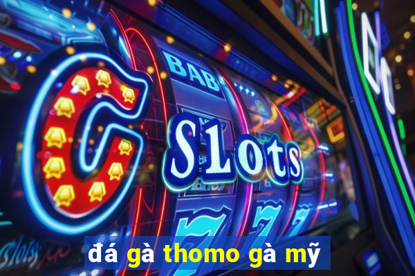 đá gà thomo gà mỹ