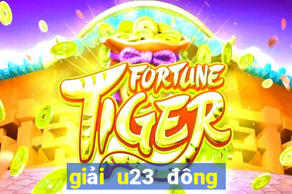 giải u23 đông nam á