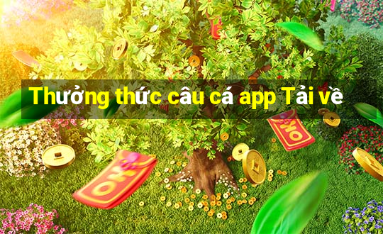 Thưởng thức câu cá app Tải về