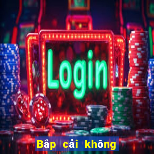 Bắp cải không cần áp dụng