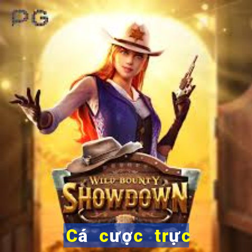 Cá cược trực tuyến V6bet