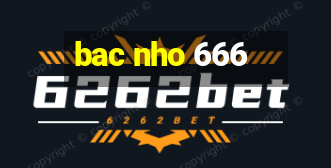 bac nho 666