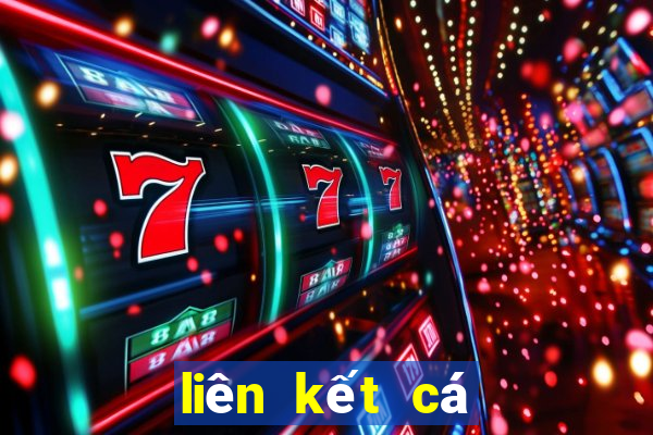 liên kết cá cược kèo bóng 88