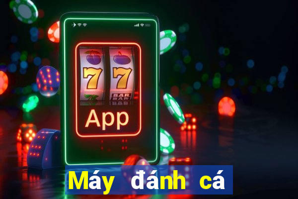 Máy đánh cá Qiangun app Tải về