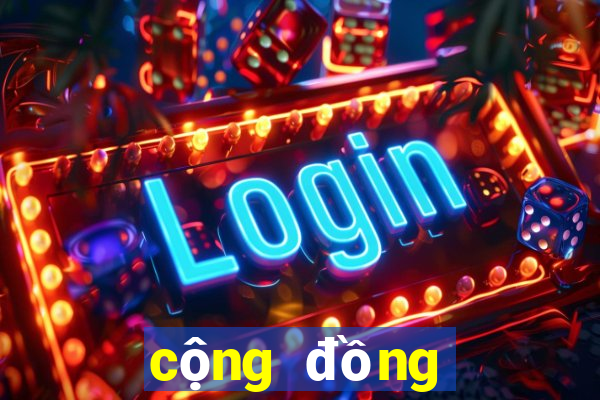 cộng đồng bầu app