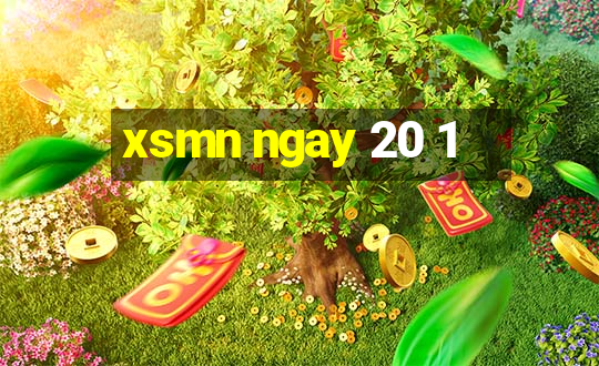 xsmn ngay 20 1