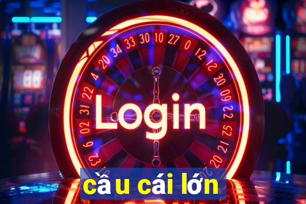 cầu cái lớn