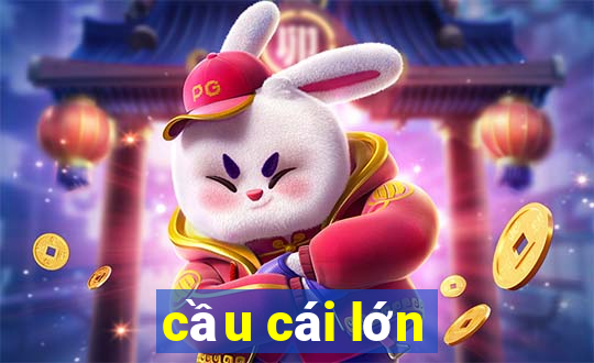 cầu cái lớn