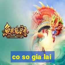 co so gia lai