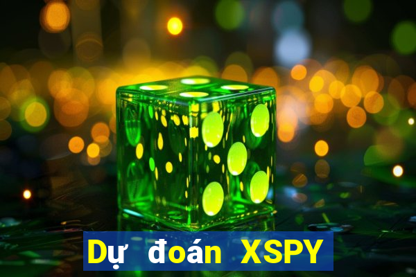 Dự đoán XSPY ngày 6