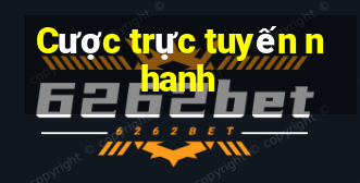 Cược trực tuyến nhanh