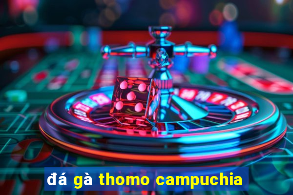 đá gà thomo campuchia