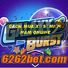 cách mua xổ số miền nam online