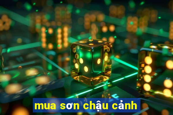 mua sơn chậu cảnh