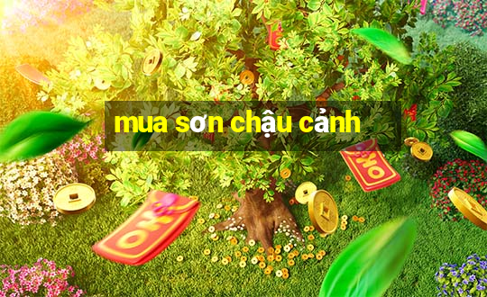 mua sơn chậu cảnh