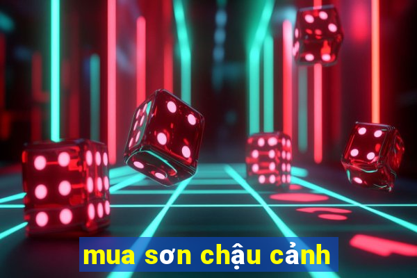 mua sơn chậu cảnh