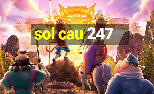 soi cau 247