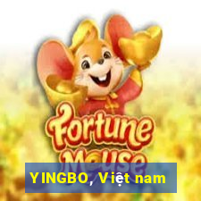 YINGBO, Việt nam