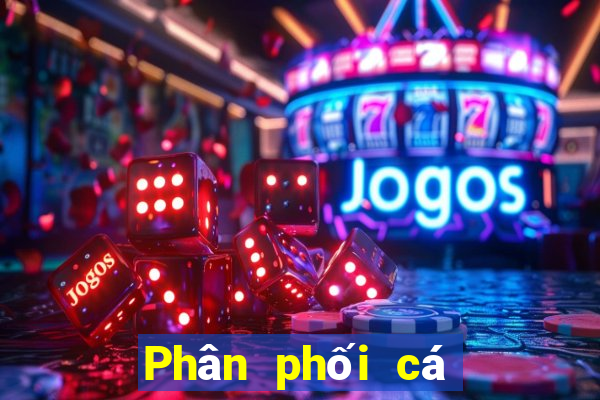 Phân phối cá có thể lên xuống