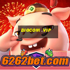 bigcom .vip