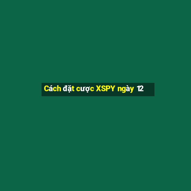 Cách đặt cược XSPY ngày 12