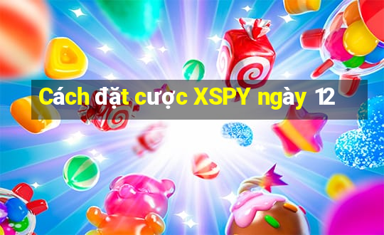 Cách đặt cược XSPY ngày 12