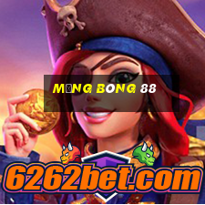 mạng bóng 88