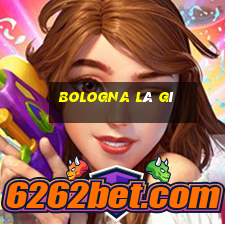 bologna là gì