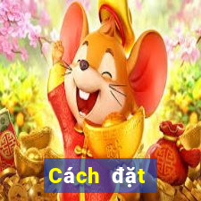 Cách đặt cược XSMN ngày 1