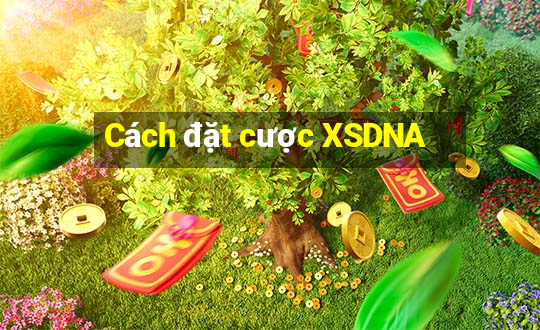 Cách đặt cược XSDNA