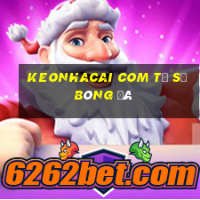 keonhacai com tỷ số bóng đá