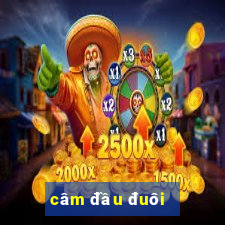 câm đầu đuôi