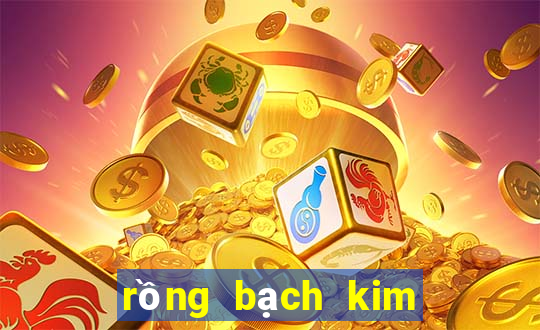 rồng bạch kim 666 hôm nay