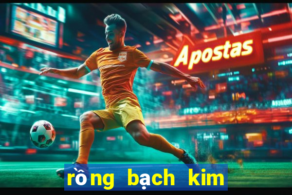 rồng bạch kim 666 hôm nay