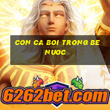 con ca boi trong be nuoc