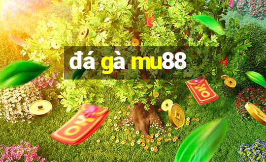 đá gà mu88