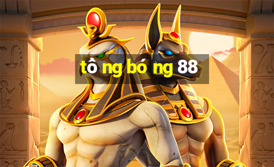 tổng bóng 88